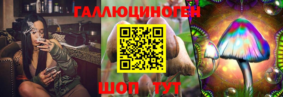 цена   Вход с VPN  Бутурлиновка  Псилоцибиновые грибы Psilocybe 
